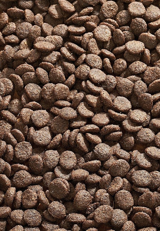 Vet-Concept Cat Allergy Gans Kattenvoer