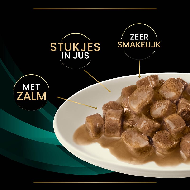 Purina Pro Plan Veterinary Diets Feline EN Gastrointestinal Kattenvoer CiG Zalm - 10 x 85 gram