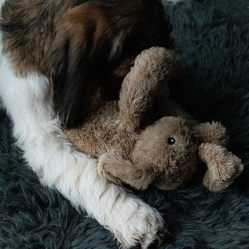 Cozy Dog Bunny Knuffel Bruin
