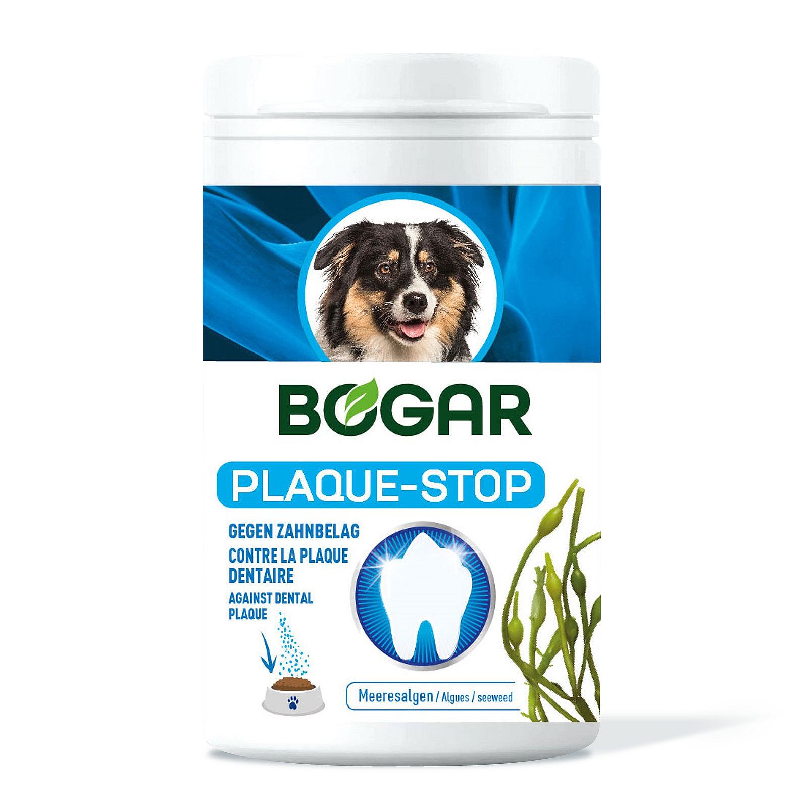 Bogadent Plaque Stop Hond 70 gram, Kruiden, Plant, Hond, Huisdier, Fles