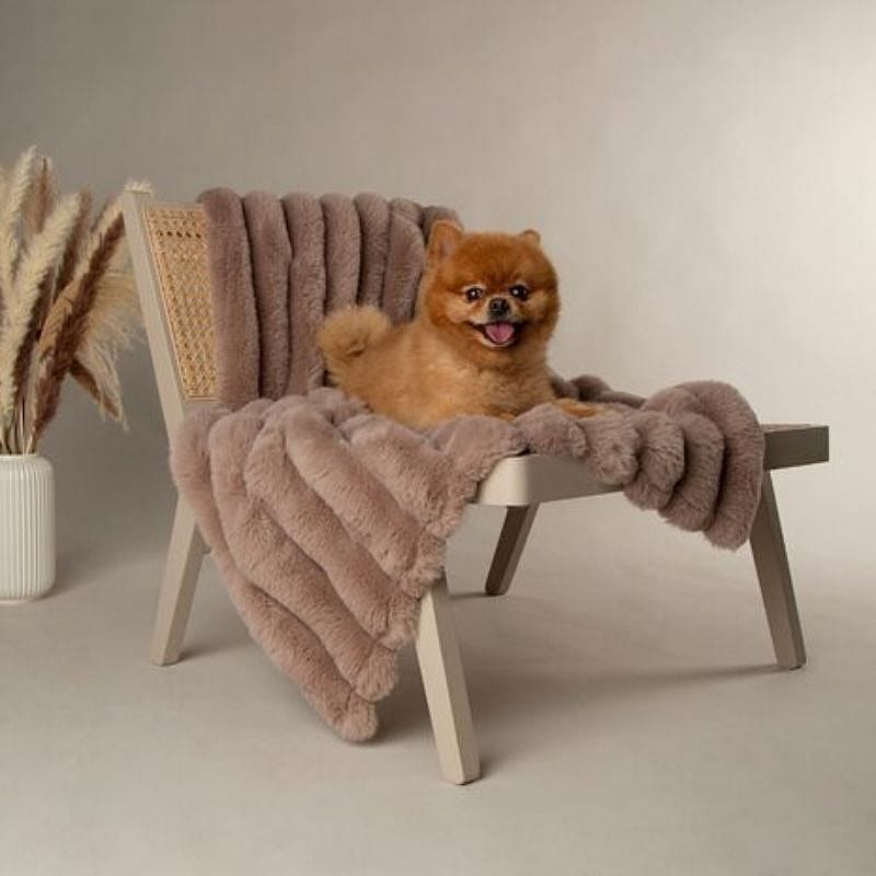 Scruffs Aspen Blanket Deken Hond Kat 110 x 75 cm Taupe