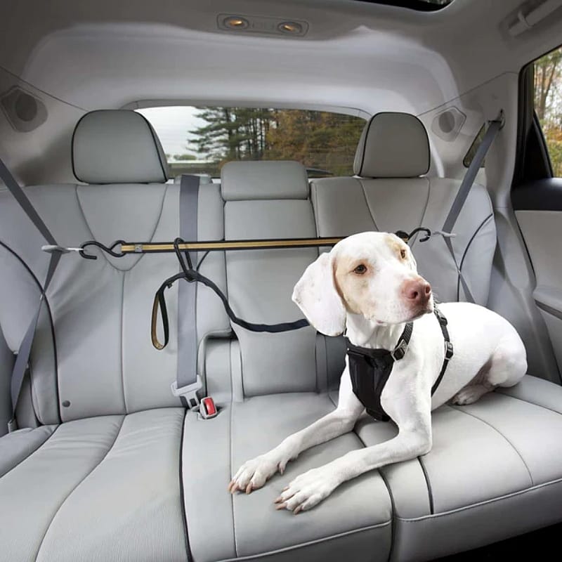 Kurgo Auto Zip Line Combo Hond
