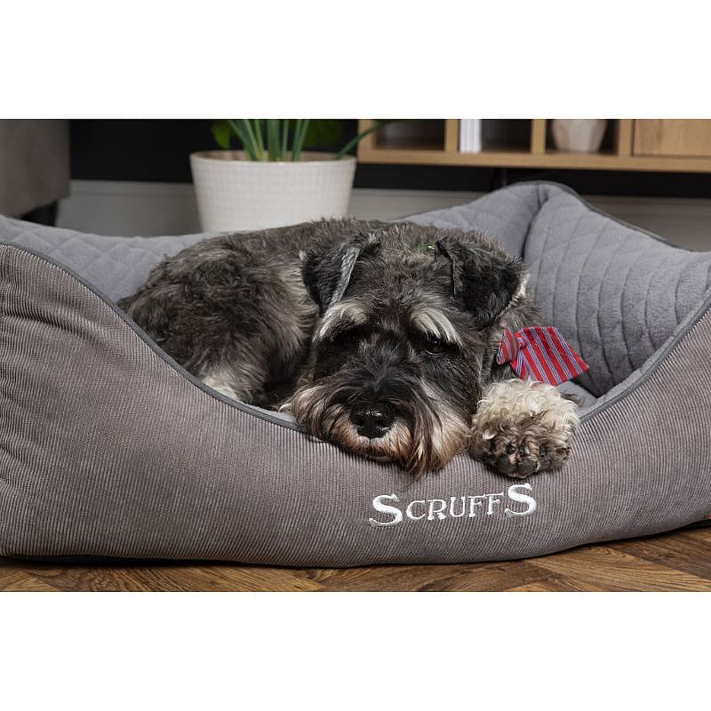 Scruffs Thermal Box Bed Hond