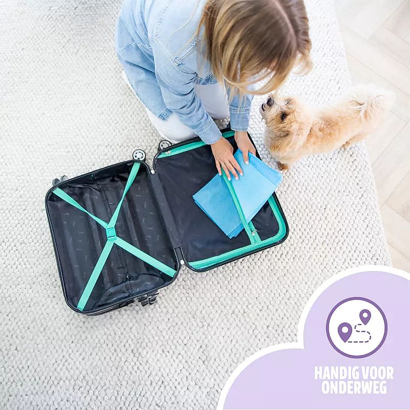 EasyPets Puppy Training Pads 58 x 58 cm Puppy