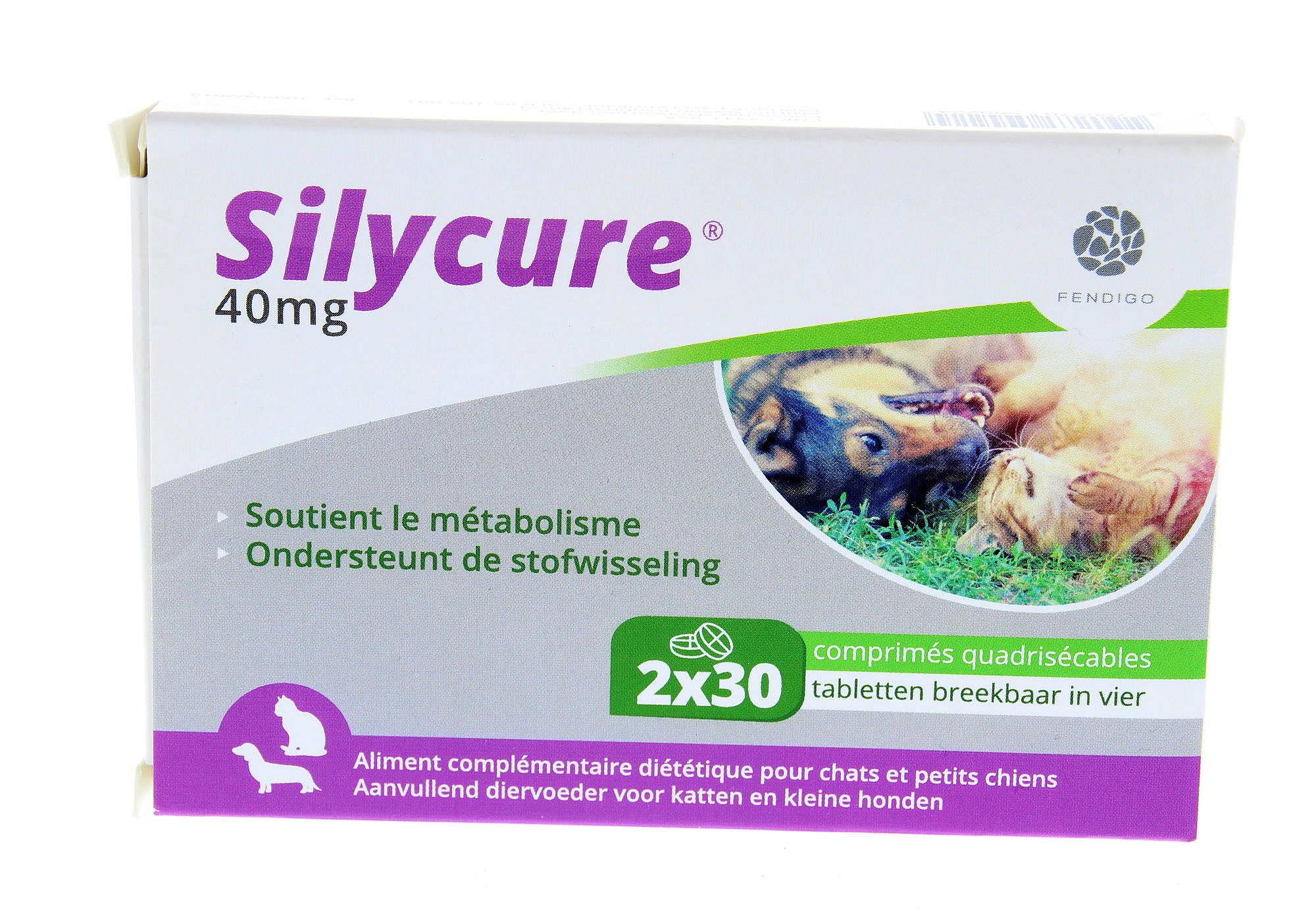 Silycure Fendigo