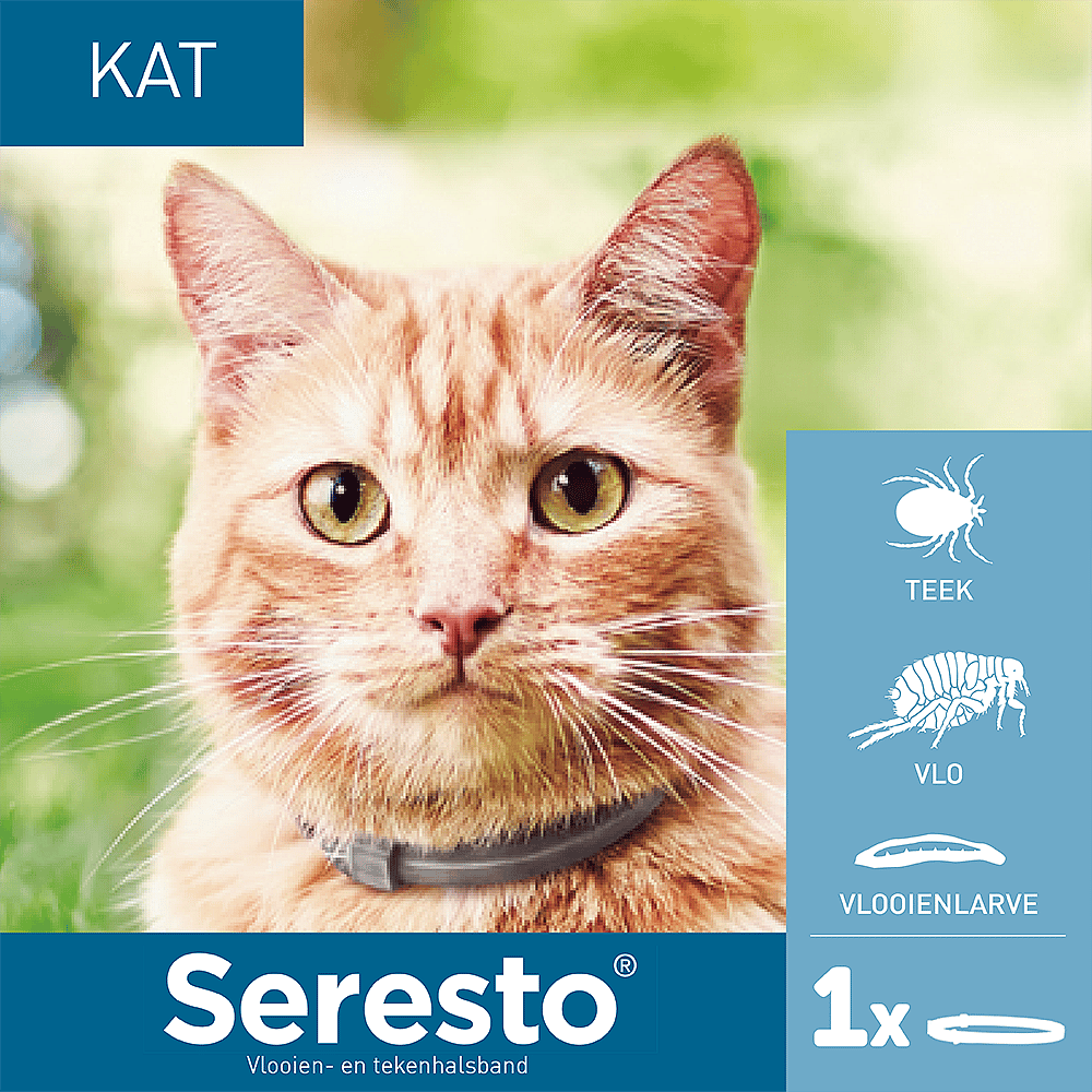 Seresto Halsband Kat: Vlooien en Teken Bescherming - 7 tot 8 maanden - Geurloos & Waterbestendig