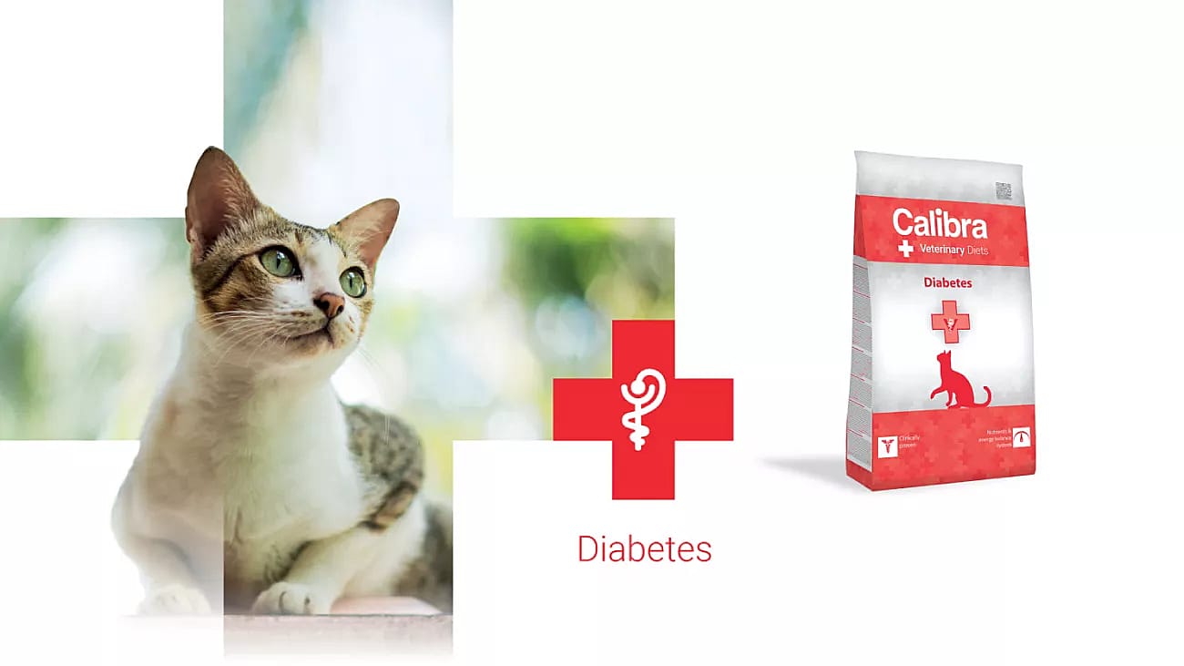 Calibra Cat Veterinary Diets Diabetes