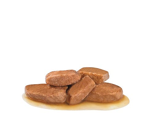 Royal Canin Renal Hond