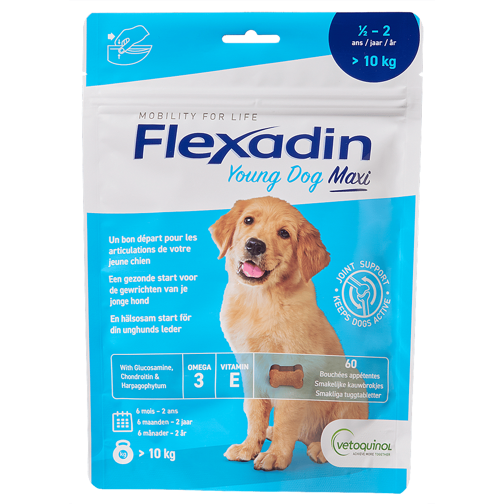 Flexadin Young Dog Maxi - 60 Kauwbrokjes