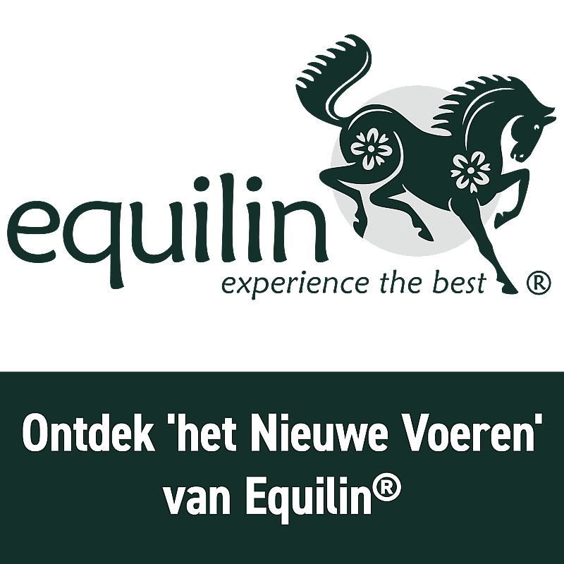 Equilin Recover Electrolytendrank Paard