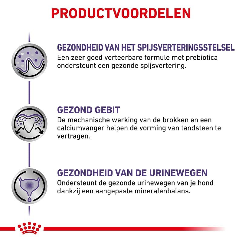 Royal Canin Adult Small Dog 2 kg