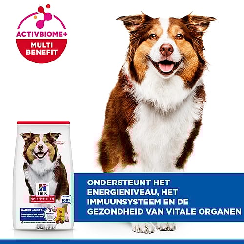 hond, voer, dog food, volwassen hond, rood-wit patroon