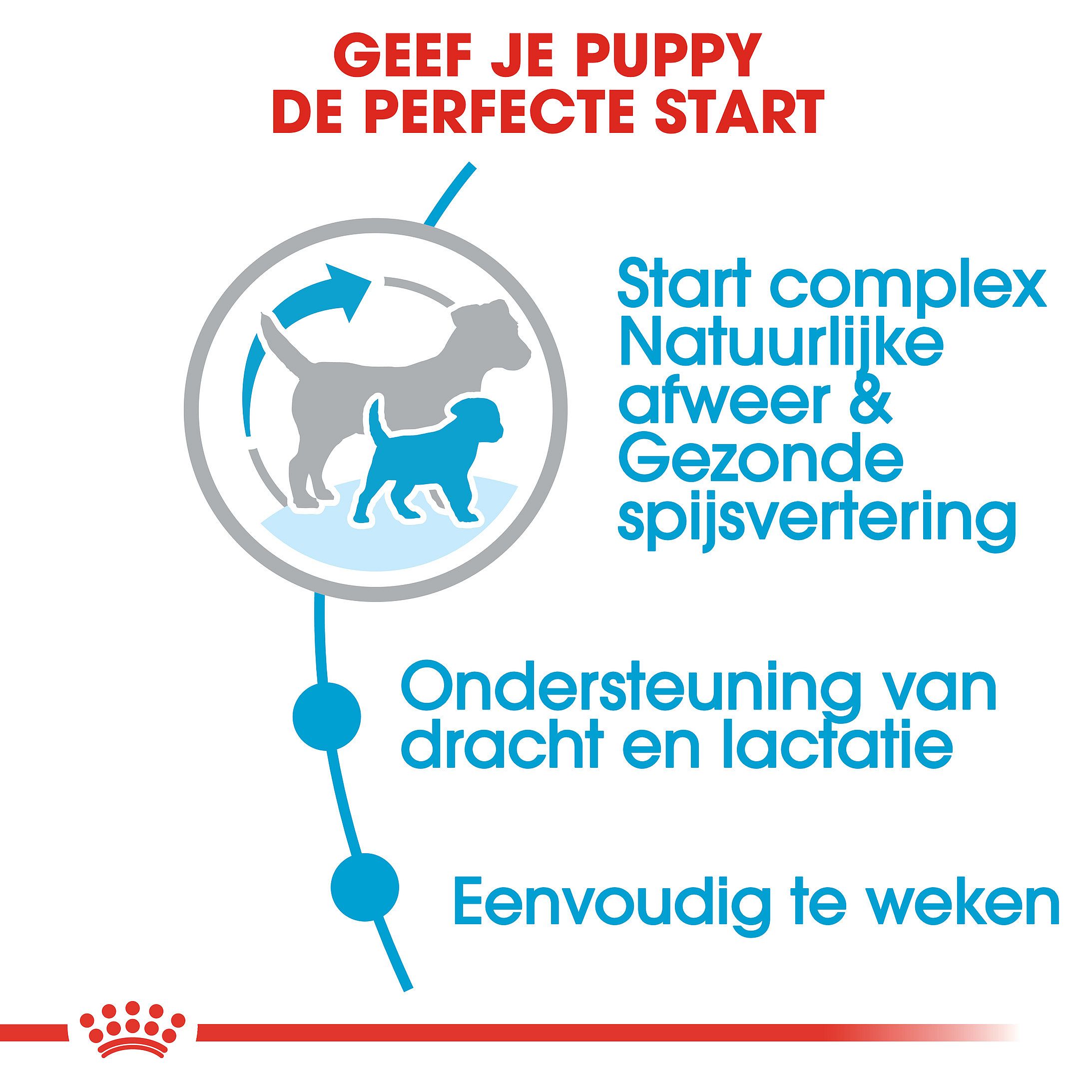 Royal Canin Starter Mini Hond