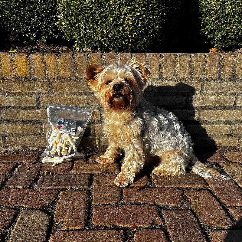 Dierapotheker Kippenpootjes Gepoft Hond