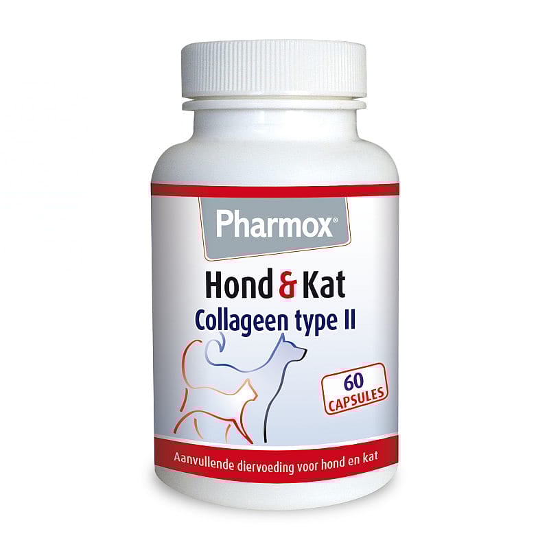 Pharmox Collageen Type II Hond Kat 60 Capsules, Astragalus, Bloem, Plant