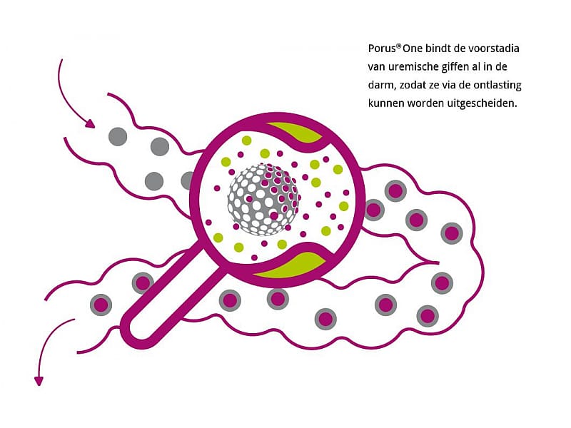 Porus One Kat 30 x 500 mg