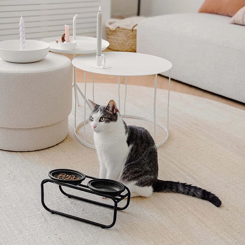 District 70  BUTLER Voerbakstandaard Kat Zwart