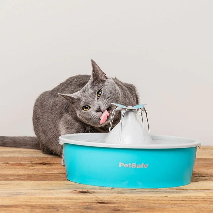 PetSafe Drinkwell Butterfly Pet Fountain Hond Kat 1.5 liter