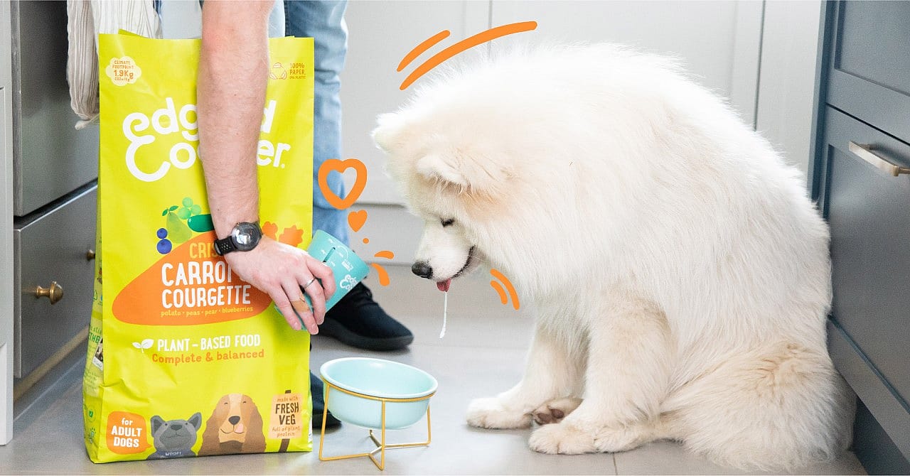 Edgard & Cooper Plantaardige Brokken met Wortel & Courgette voor Volwassen Honden 1 kg