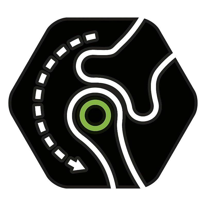 Purina Pro Plan Large Robust Puppy Healthy Start Hondenvoer 12 kg