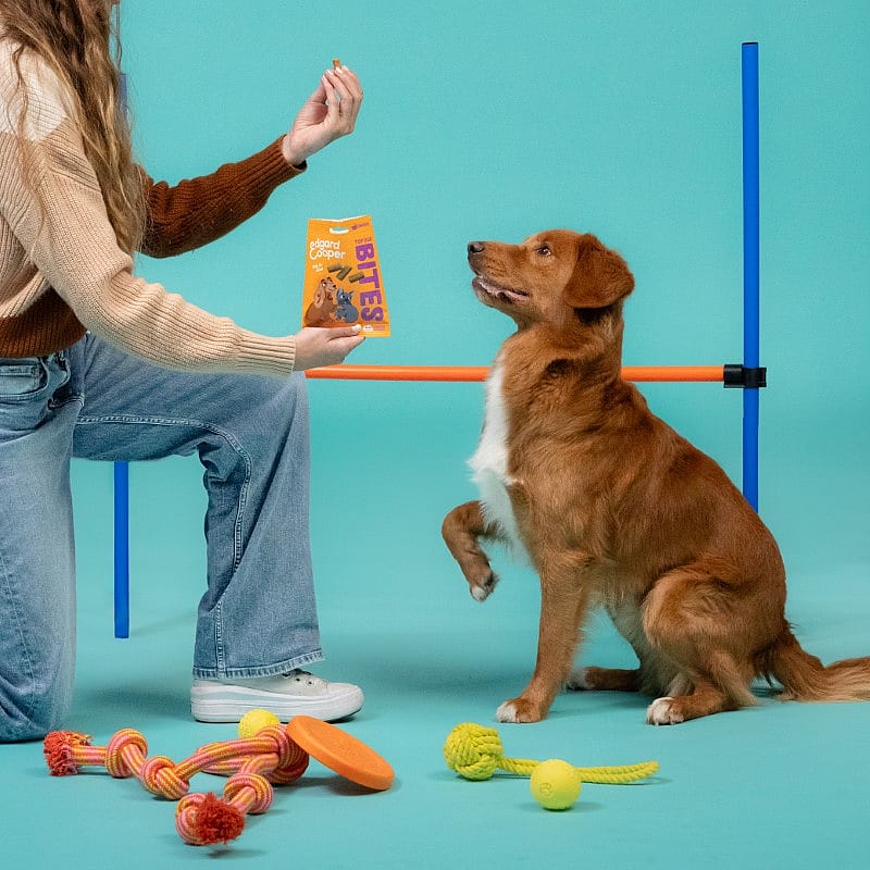 Edgard & Cooper Top Dog Bites Kip