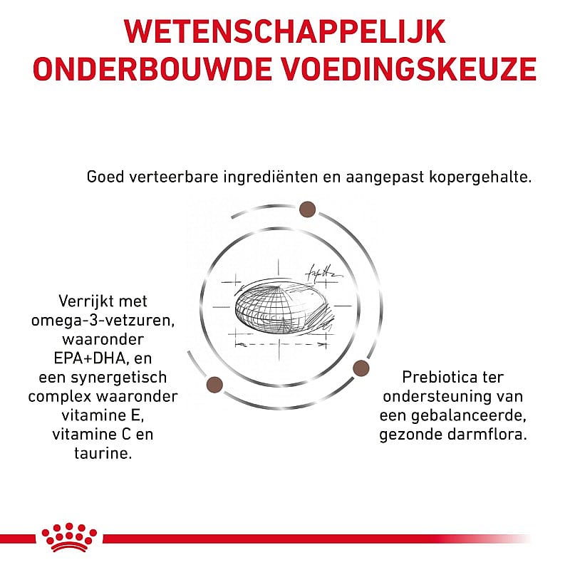 Royal Canin Hepatic Kat 4 kg