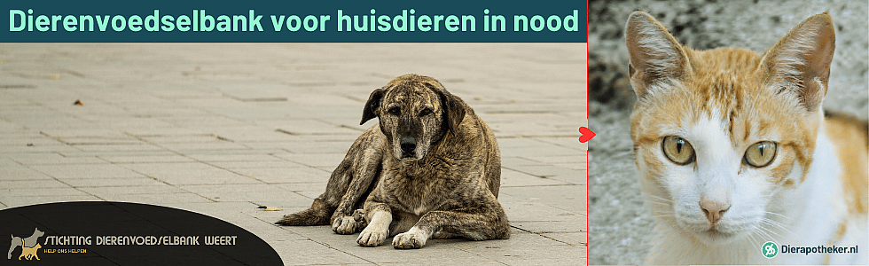 Hoofdbanner_Dierenvoedselbank_Weert