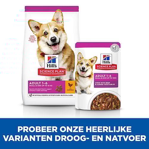 Hill's Science Plan Adult Small & Mini Hondenvoer Stoofpotje Kip Rund 12 x 80 gram