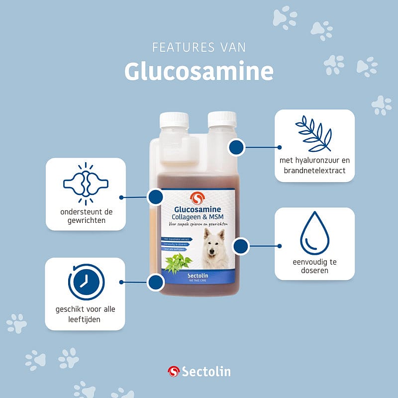 Sectolin Glucosamine, Collageen & MSM Gewrichten Hond 500 ml