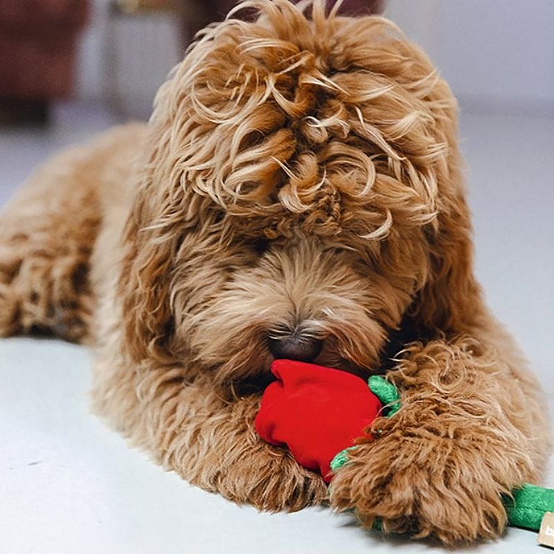 Beeztees Rode Roos Pluche Hond Beeztees Rode Roos Pluche Hond