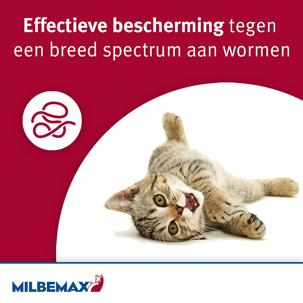 Milbemax Grote Kat Ontwormingstabletten 20 tabletten