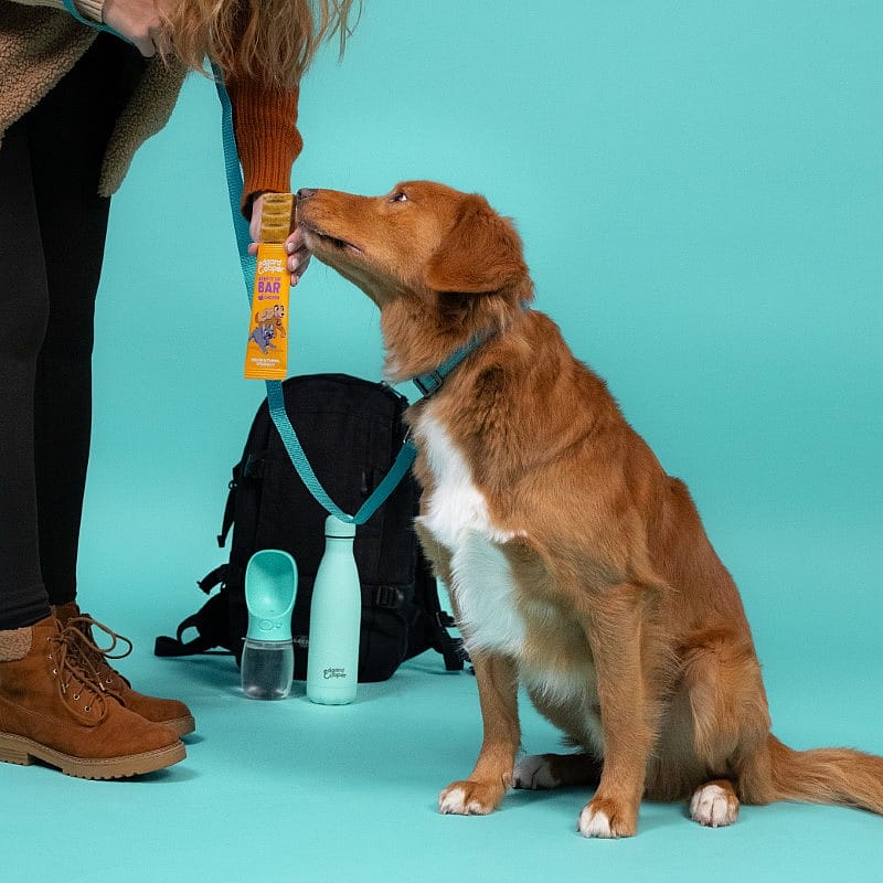 Edgard & Cooper Keep It Up Bar Kip 30 gram