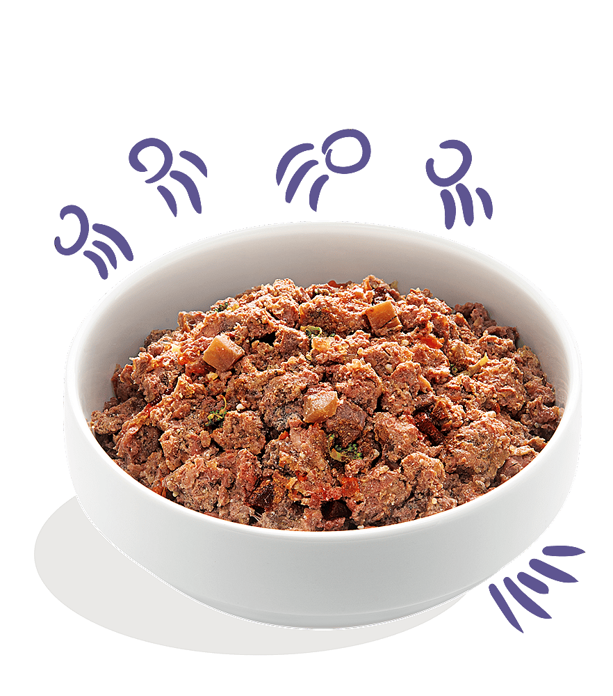 Edgard & Cooper Adult Hondenvoer Blikjes Rund 6 x 400 gram