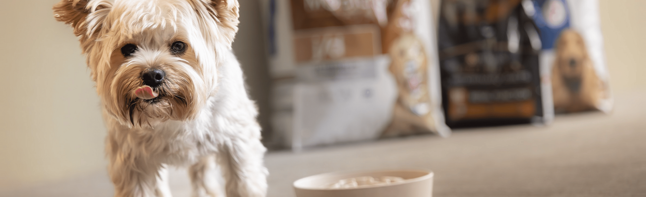 VoerVast-abonnement-hond-kat-Dierapotheker