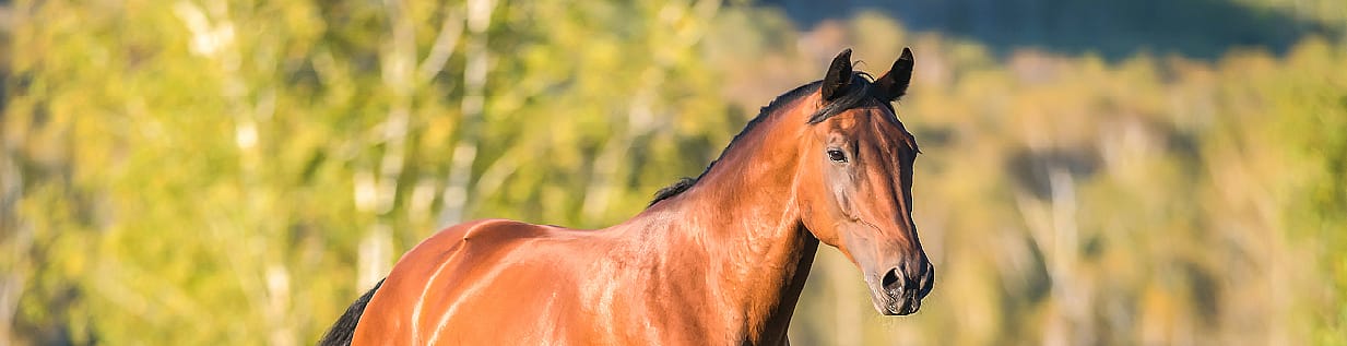 1827f939981beff6dcc0a4cebe1f98a6