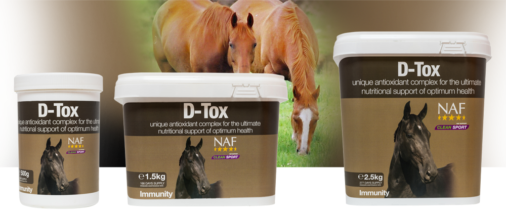 NAF D-Tox – Voor weerstand en afvoer van afvalstoffen bij paarden 1.5 kg, Dier, Paard, Zoogdier, Colt Horse