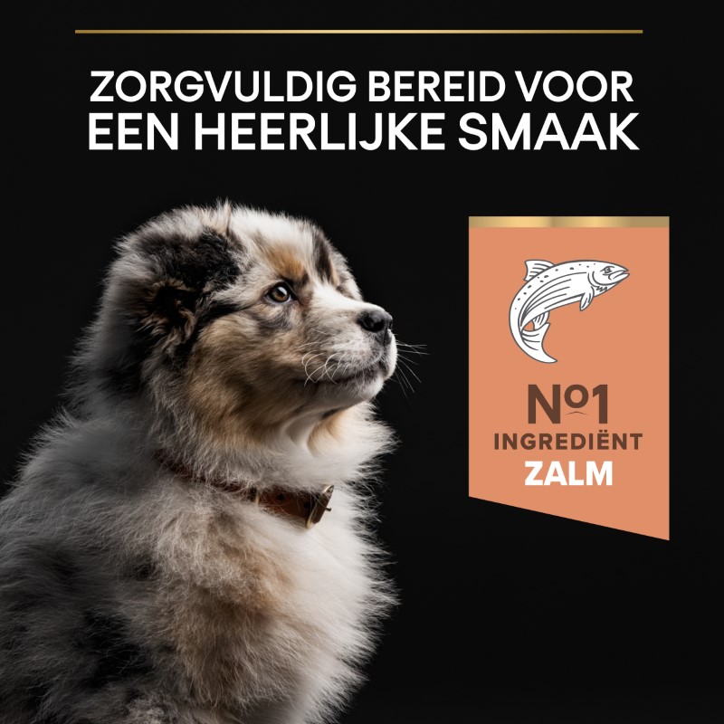 Purina Pro Plan Medium Puppy Sensitive Skin Hondenvoer Zalm 12 kg Purina Pro Plan Medium Puppy Sensitive Skin Hondenvoer Zalm 12 kg