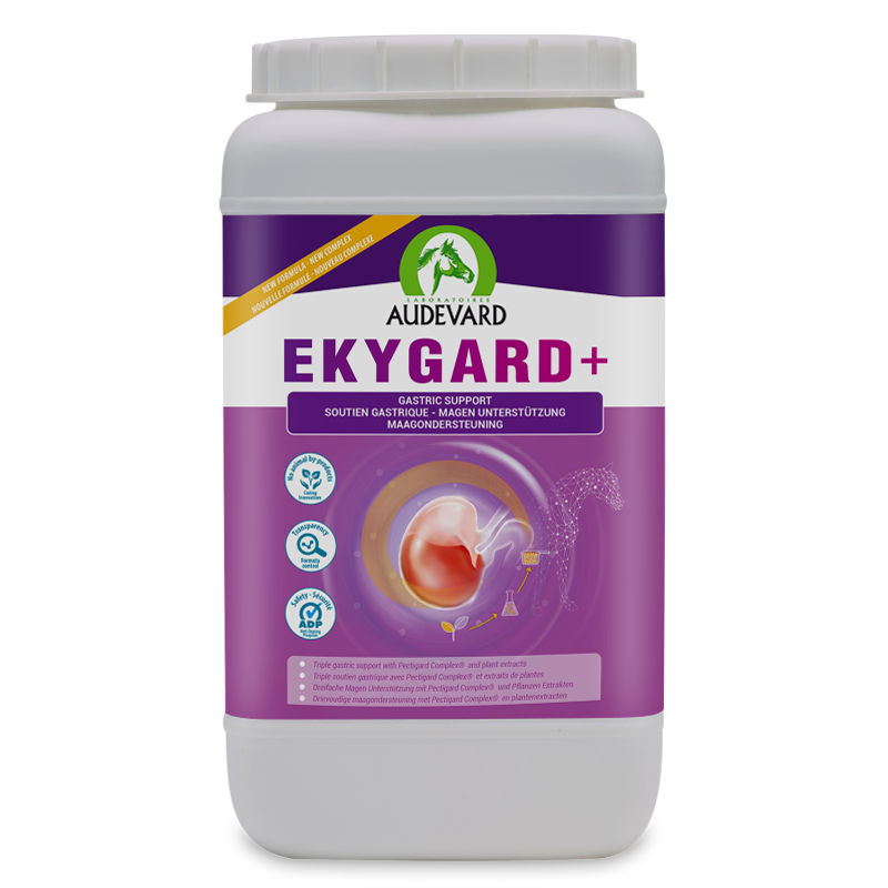 Audevard Ekygard+ Maag Stress Paard, Voedsel, Mayonaise