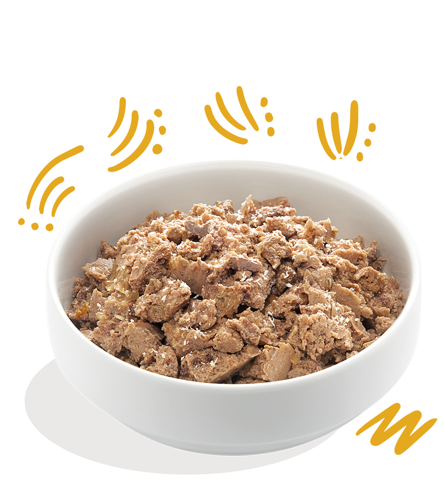 Edgard & Cooper Adult Hondenvoer Biologisch Kuipjes Kalkoen 17 x 100 gram