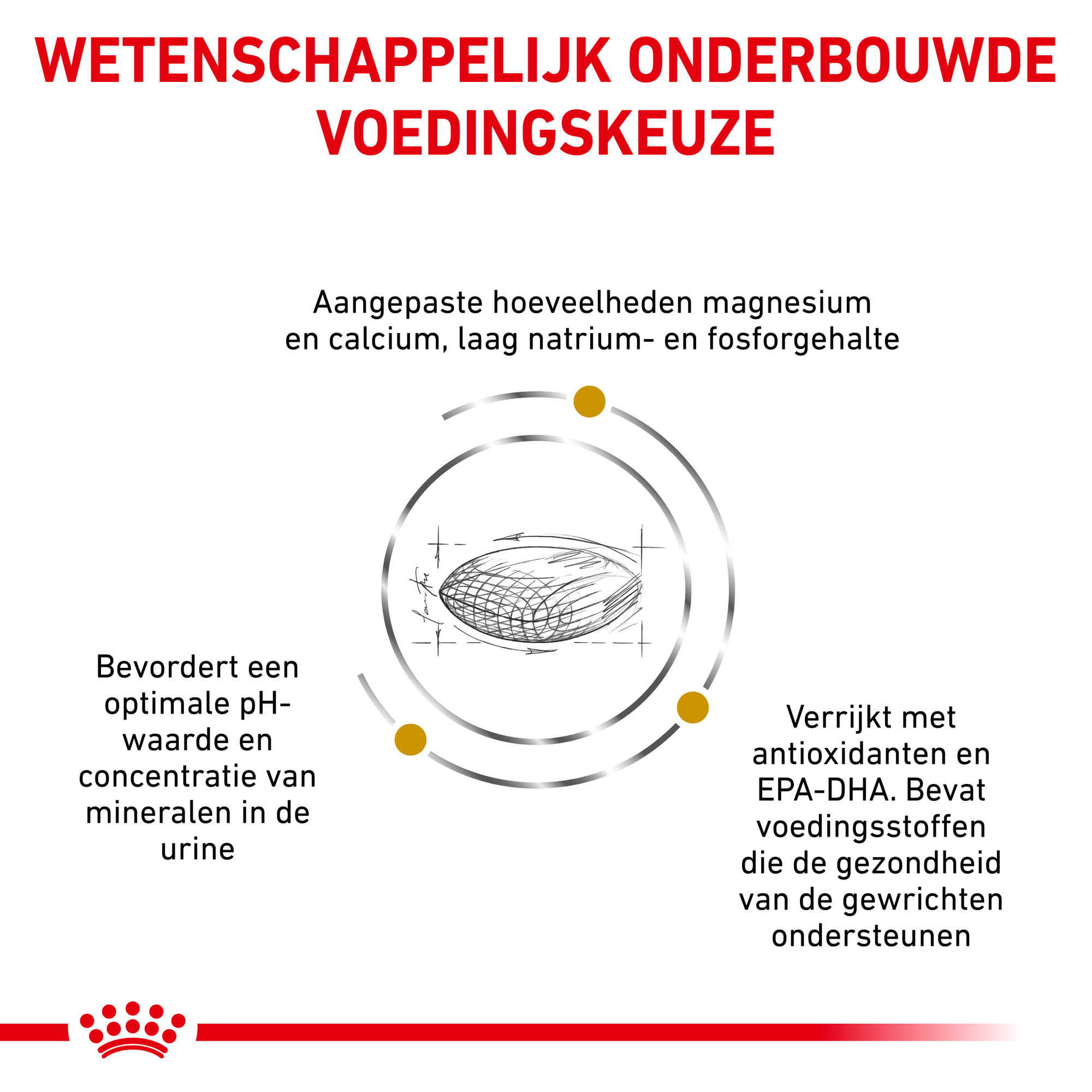 Royal Canin Urinary S/O Hond 12 x 100 gram maaltijdzakjes - Thin slices in gravy