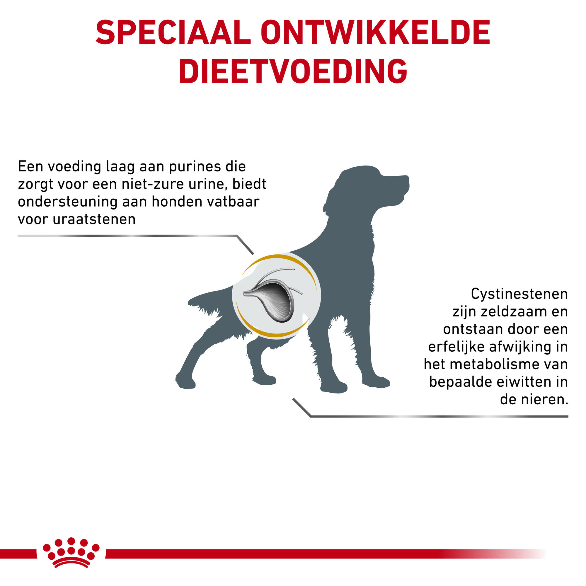 Royal Canin Urinary UC Low Purine Hond 