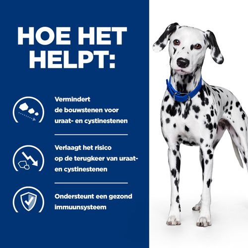 Hill's Prescription Diet UD Urinary Care Hondenvoer 4 kg