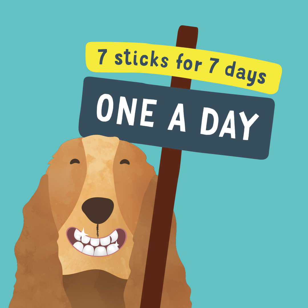 Edgard & Cooper Doggy Dental Sticks Hondensnack - Muntolie en Aardbei Edgard & Cooper Doggy Dental Sticks Hondensnack - Muntolie en Aardbei