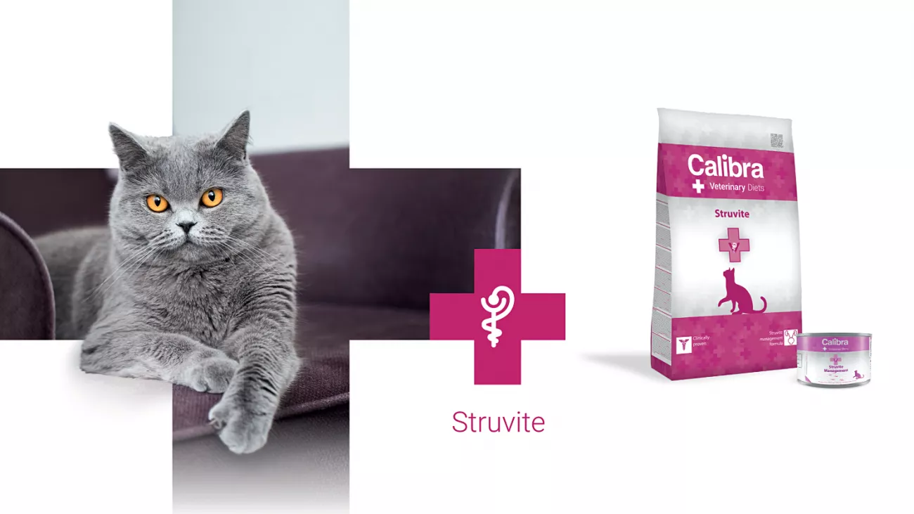 Calibra Cat Veterinary Diets Struvite 