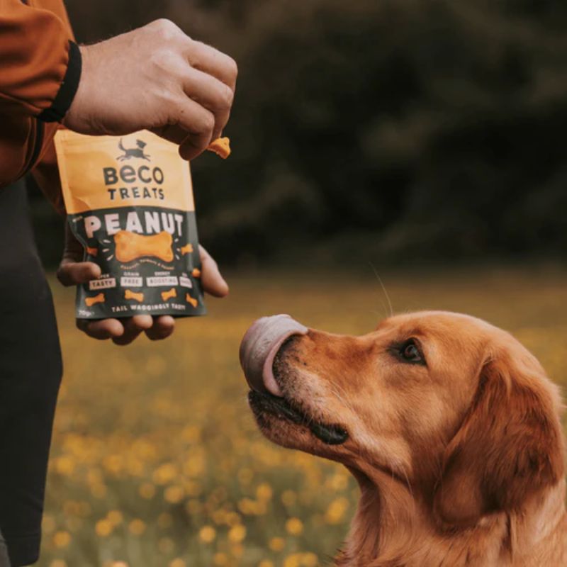 Beco Treats Peanut with Coconut & Turmeric 1 x 70 gram Hond