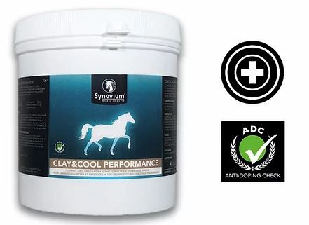 Synovium Clay en Cool Benen Paard, Fles, Shaker