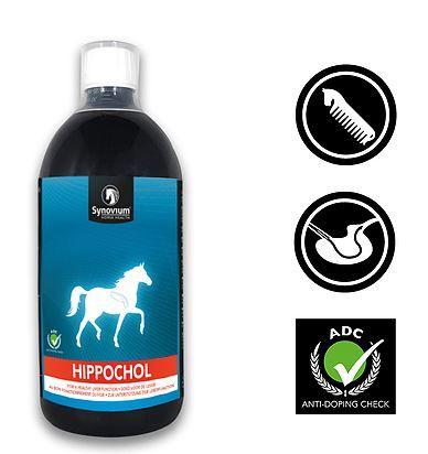 Synovium Hippochol Lever Paard 1 liter, Fles