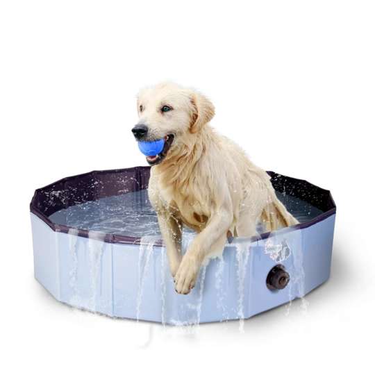 Coolpets Zwembad
