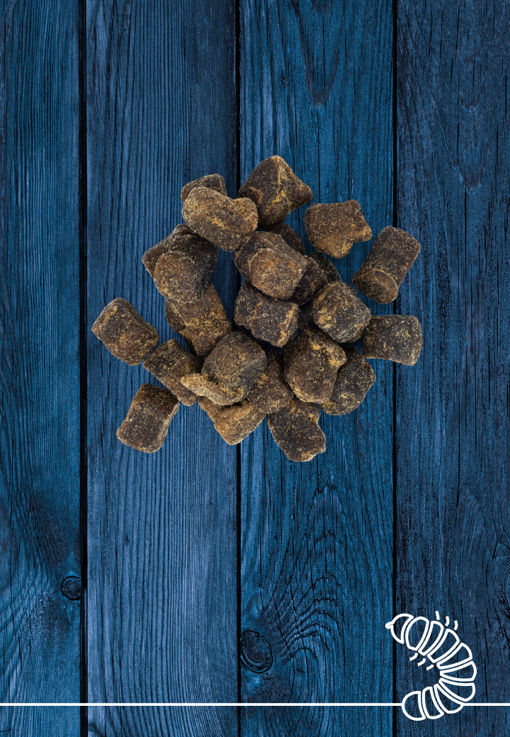 Vet-Concept Hermetia Illucens Snack Hond Kat 