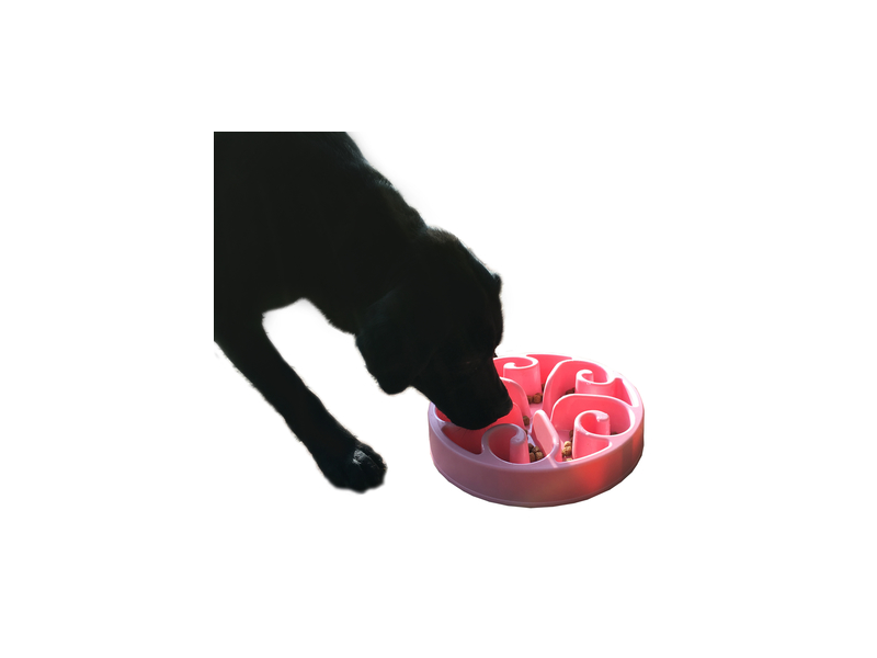 Eat Slow Live Longer Feeder Hond 